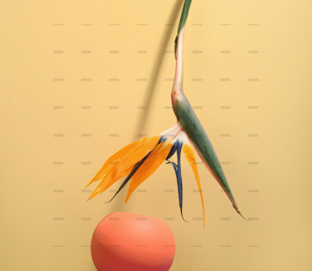 demo-attachment-264-pexels-daria-liudnaya-7354422-min