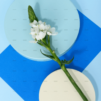 demo-attachment-258-pexels-daria-liudnaya-7354669-min