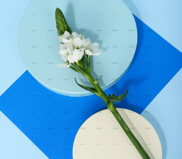 demo-attachment-258-pexels-daria-liudnaya-7354669-min